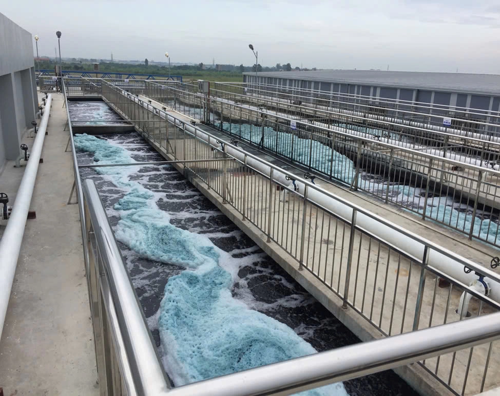 建设BEST PACIFIC工厂项目